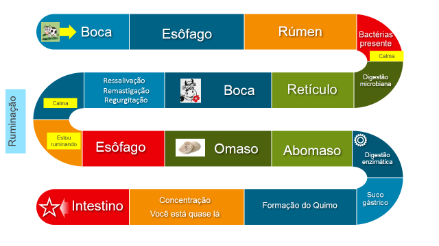 O tabuleiro do jogo.  Download Scientific Diagram