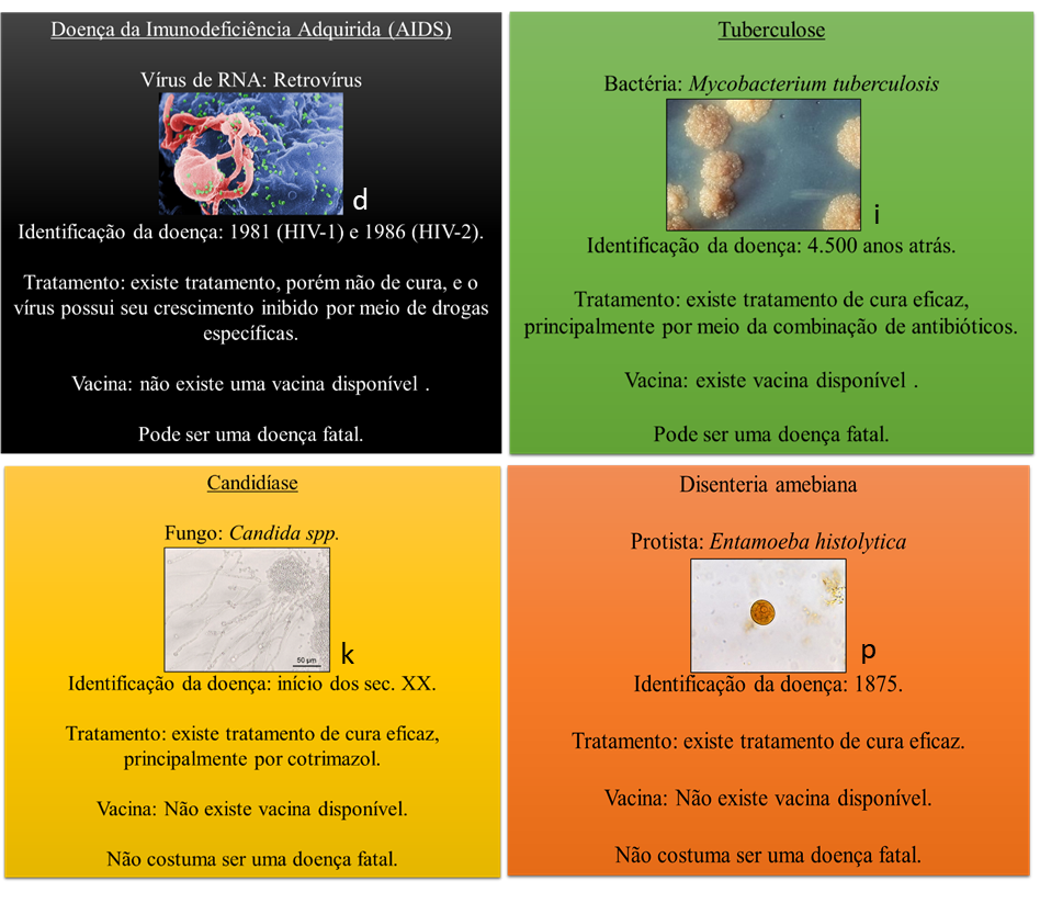 Revista Educação Pública - Imunização: um jogo didático para o